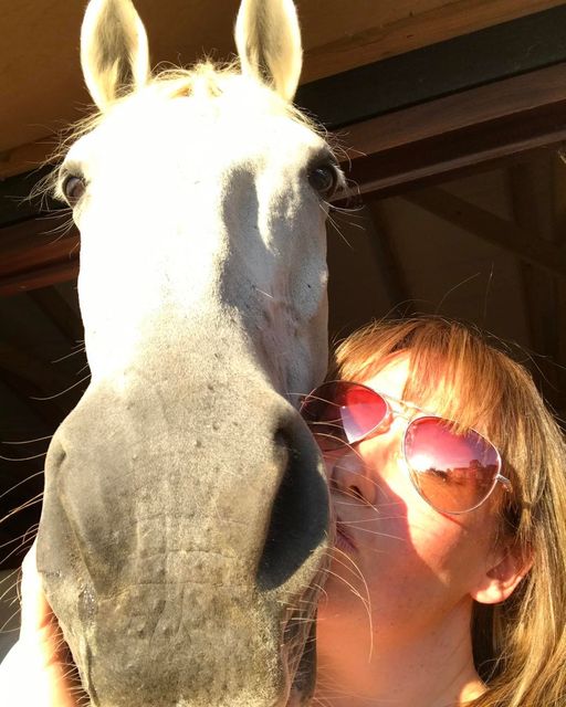 the simple art of horse grooming